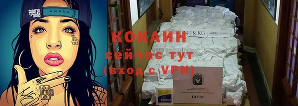 СК Елизово