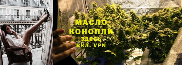 индика Ельня