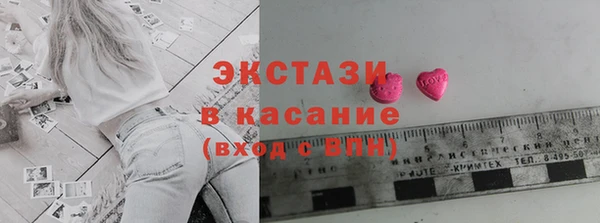 индика Ельня