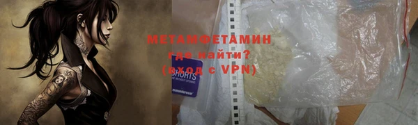индика Ельня