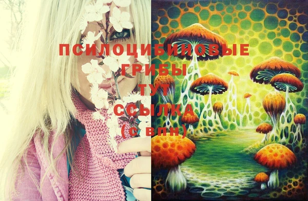 марки nbome Хадыженск