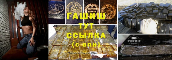 СК Елизово