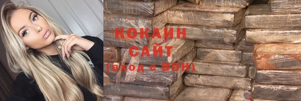 индика Ельня
