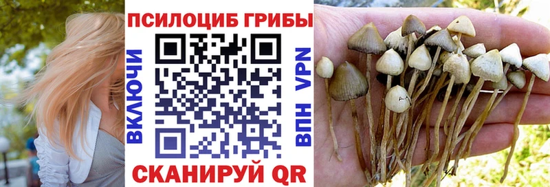 Галлюциногенные грибы прущие грибы  KRAKEN ссылки  Теберда 